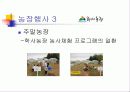 친환경농업사례 ppt 11페이지