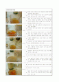 홍차 시음 보고서 5페이지