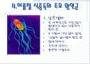 여름철 식중독 예방법 5페이지