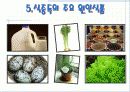 여름철 식중독 예방법 10페이지