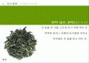 [다례, 다도] 일본의 차 문화와 역사 분석 26페이지