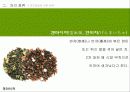 [다례, 다도] 일본의 차 문화와 역사 분석 31페이지