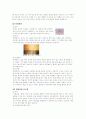 성병에 대한 정리와 이해 6페이지