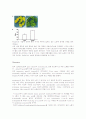 A Gene Encoding an Acyl Hydrolase Is Involved in leaf Senescence in Arabidopsis 7페이지