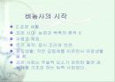 (일본사회와 문화)원시고대사회[A+]★★★★★ 3페이지