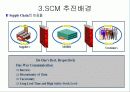 현대모비스의 'SCM'구축 성공사례 분석 15페이지