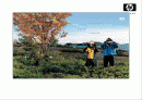 SPaM(strategic Planning and Modeling ) 1페이지