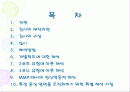MMPI - 다면적 인성검사 2페이지