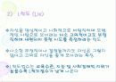 MMPI - 다면적 인성검사 15페이지