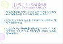 MMPI - 다면적 인성검사 41페이지