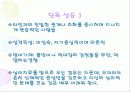 MMPI - 다면적 인성검사 64페이지