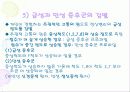 MMPI - 다면적 인성검사 97페이지