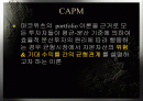 CAPM(자본자산가격결정모형) 2페이지