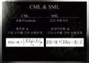 CAPM(자본자산가격결정모형) 19페이지