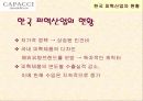 ㈜CAPACCI(가파치) 공동브랜드 전략 3페이지