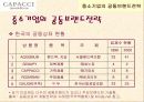 ㈜CAPACCI(가파치) 공동브랜드 전략 4페이지