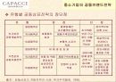 ㈜CAPACCI(가파치) 공동브랜드 전략 5페이지