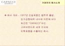 ㈜CAPACCI(가파치) 공동브랜드 전략 7페이지