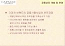 ㈜CAPACCI(가파치) 공동브랜드 전략 11페이지
