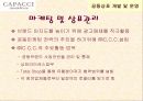 ㈜CAPACCI(가파치) 공동브랜드 전략 12페이지