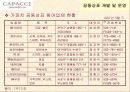 ㈜CAPACCI(가파치) 공동브랜드 전략 13페이지