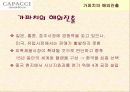 ㈜CAPACCI(가파치) 공동브랜드 전략 14페이지