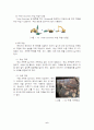 목재 채취 및 목재가구 제조 6페이지