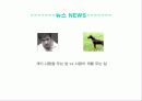 news란 무엇인가? 6페이지
