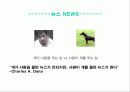 news란 무엇인가? 7페이지