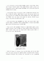 유기 EL 디스플레이 (Organic Light Emitting Diode : OLED) 41페이지
