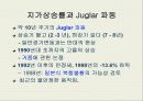 부동산과 시장경제에 대하여 50페이지
