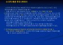채권포트폴리오관리에 관하여 28페이지