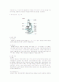 현미경의 원리 및 관찰 4페이지