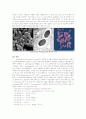 Clostridium perfringens 3페이지