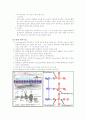 Clostridium perfringens 6페이지