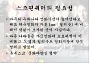 스크린쿼터 6페이지