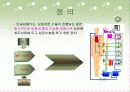 [의공학] 인공심페기(heart lung machine)의 원리와 과거,현재, 미래 3페이지