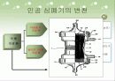 [의공학] 인공심페기(heart lung machine)의 원리와 과거,현재, 미래 10페이지
