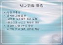 시나위의 정의 4페이지