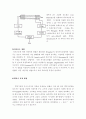 한국의 지자기 분포 [자연과학]  4페이지