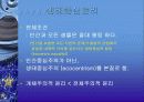 생태중심윤리PPT자료발표자료입니다 3페이지