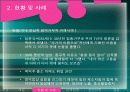 양심적 병역거부 (찬성, 반대 의견 및 대안에 대하여) 10페이지