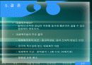 양심적 병역거부 (찬성, 반대 의견 및 대안에 대하여) 16페이지