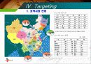 CJ홈쇼핑의 중국 진출 관련STP전략 14페이지
