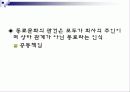 수평 경영 13페이지