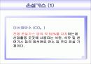 환경교재연구 및 지도법 11페이지