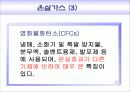 환경교재연구 및 지도법 13페이지
