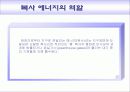 환경교재연구 및 지도법 19페이지
