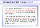 환경교재연구 및 지도법 20페이지