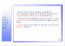 환경교재연구 및 지도법 23페이지